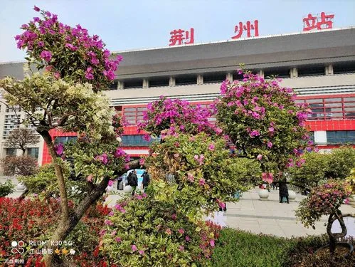 常熟市到荊州物流專線-常熟市到荊州貨運-歡迎訪問